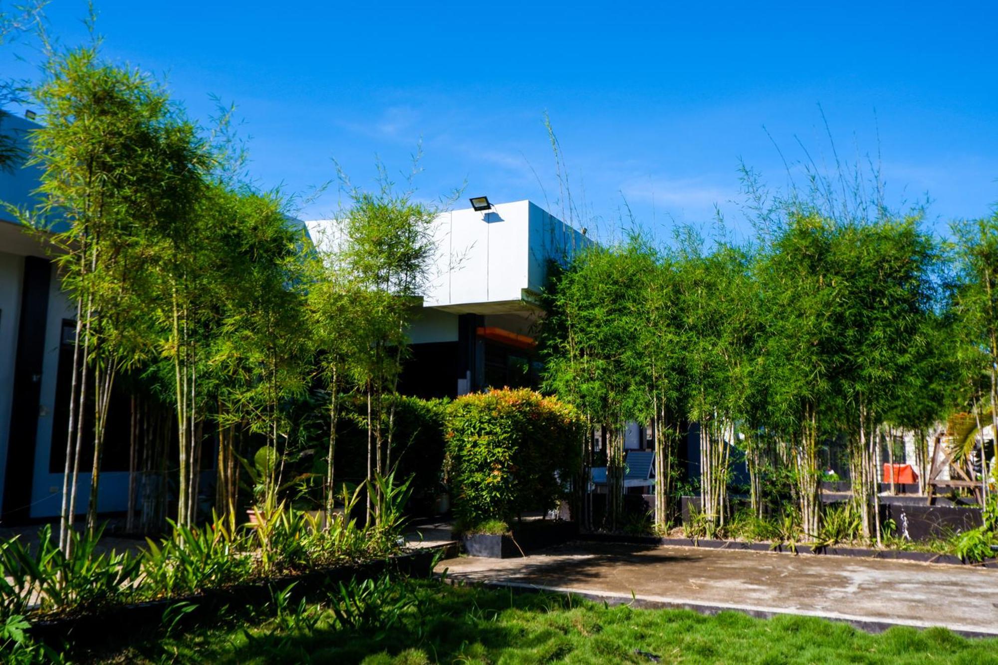 Casi Verde Guest House Panglao Zewnętrze zdjęcie