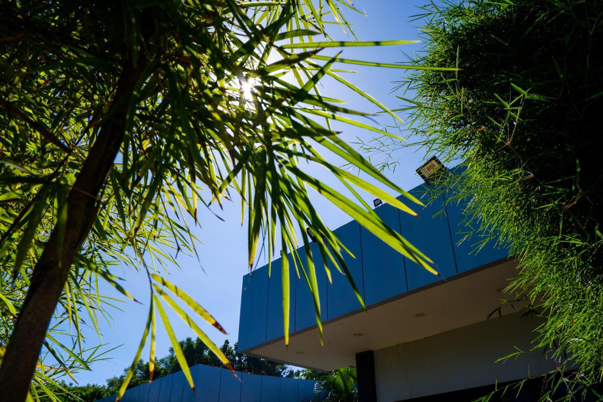 Casi Verde Guest House Panglao Zewnętrze zdjęcie